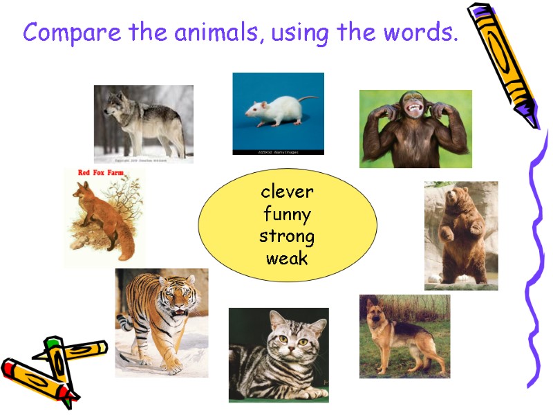 Compare the animals, using the words.  clever funny strong weak